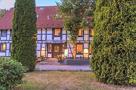Wegermann`s BIO-Landhaus im Wodantal