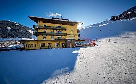 Hotel Gungau