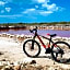 Reef Yucatan 