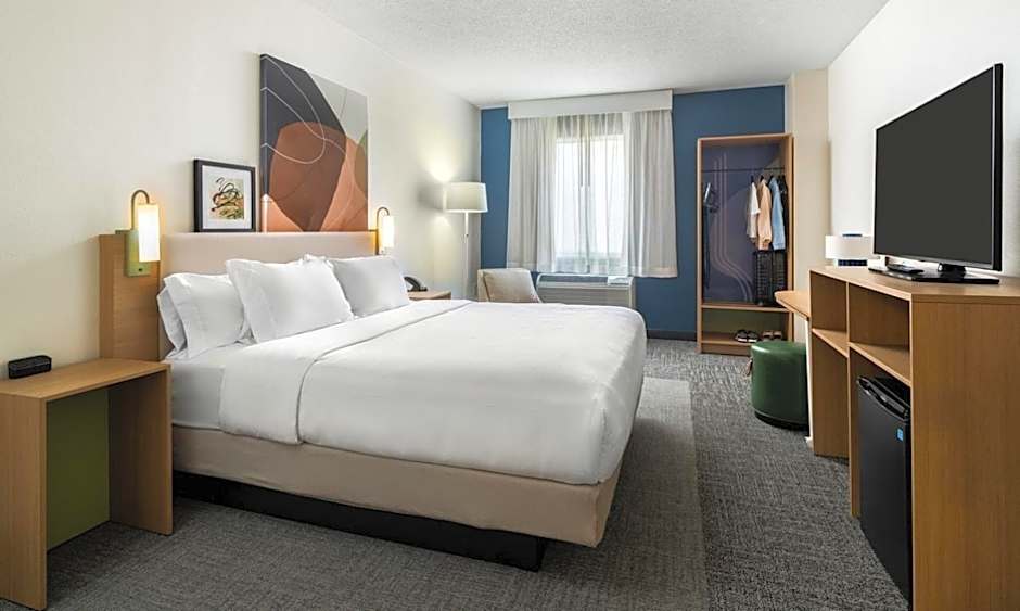 Spark by Hilton Glendive