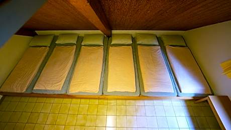 Single Bed in Dormitory Room