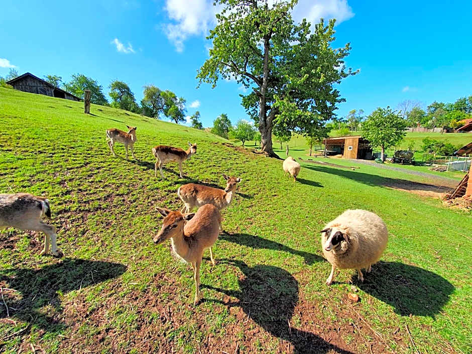 Budget Hotel Biebertal am Milseburgradweg