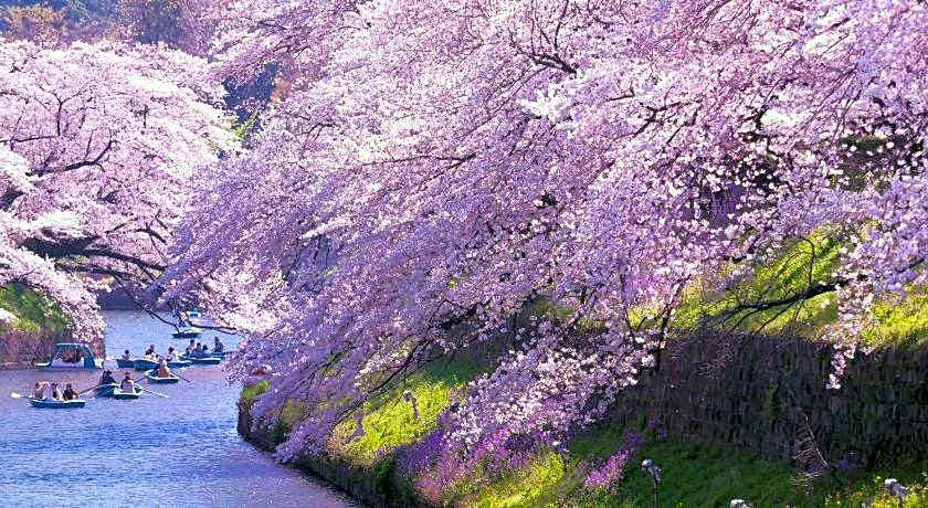 HOTEL OWL TOKYO Shinbashi