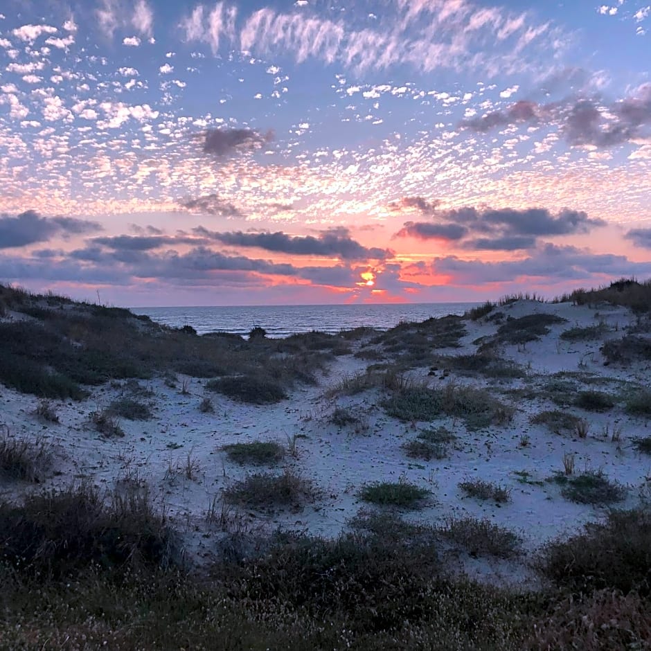 Chambres d'Hôtes d'Aliénor