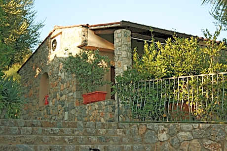 Studio