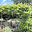 Locanda Maison Verte