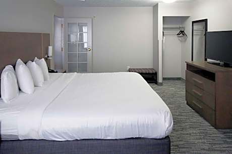 1 King Bed, Suite, Nonsmoking