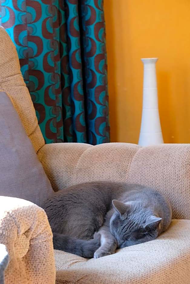 Chester St Backpackers