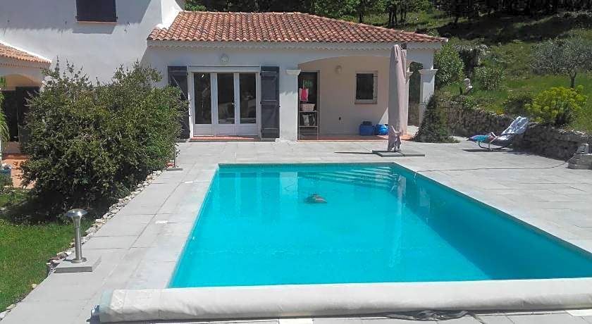 frederique lavande bleue