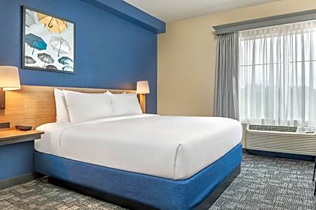 King Room with Sofa Bed, Transfer Shower and Limited View - Mobility and Hearing Accessible