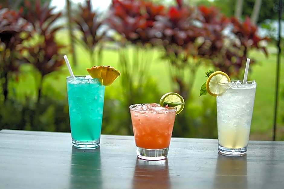 Grand Naniloa Hotel Hilo - a DoubleTree by Hilton