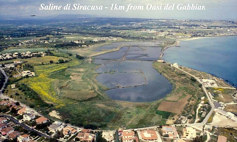 Oasi Del Gabbiano