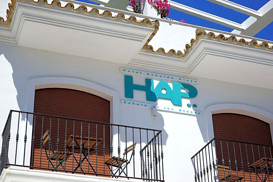 Hotel Avenida Playa