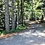 La casa nel bosco