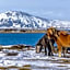 Mývatn - Berjaya Iceland Hotels