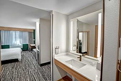 King Suite- Mobility Access Roll in Shower/Non-Smoking
