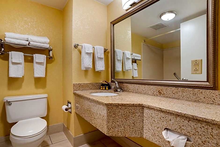 Best Western Plus Oak Mountain Inn