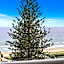 Wharf Boutique Apartments