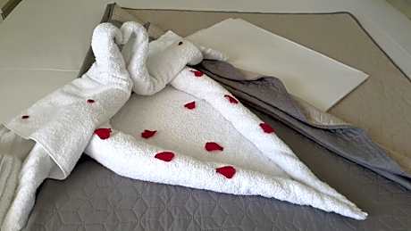 Double or Twin Room with Sea View