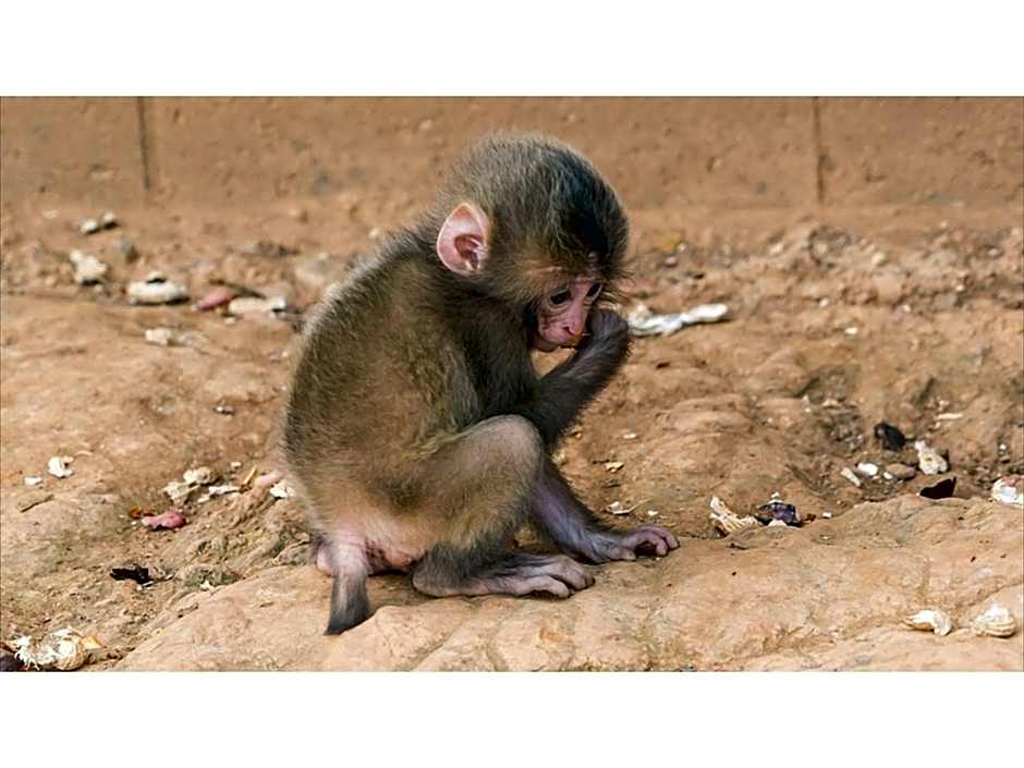 River Side Arashiyama - Vacation STAY 86249v