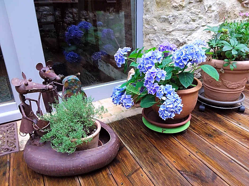 Maison des 5 Temps : Chambres d’hôtes de charme à Ferrette