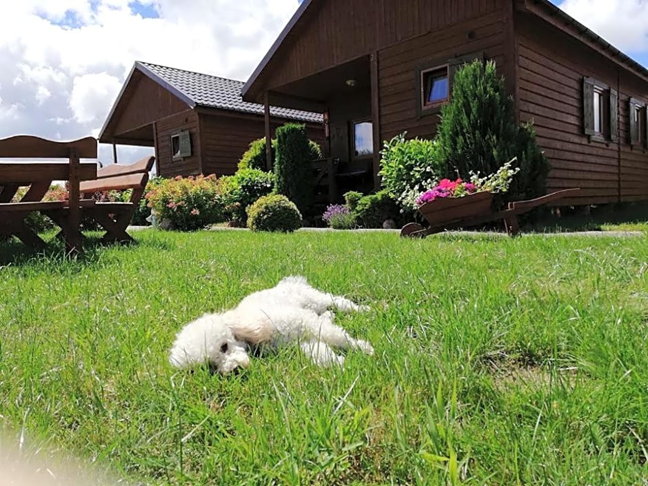 Domki Letniskowe Lawenda