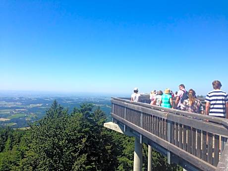 Wohnung in Rohrnbach nahe Skipisten
