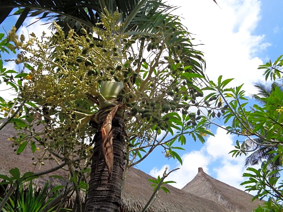 Mushroom Garden Villas
