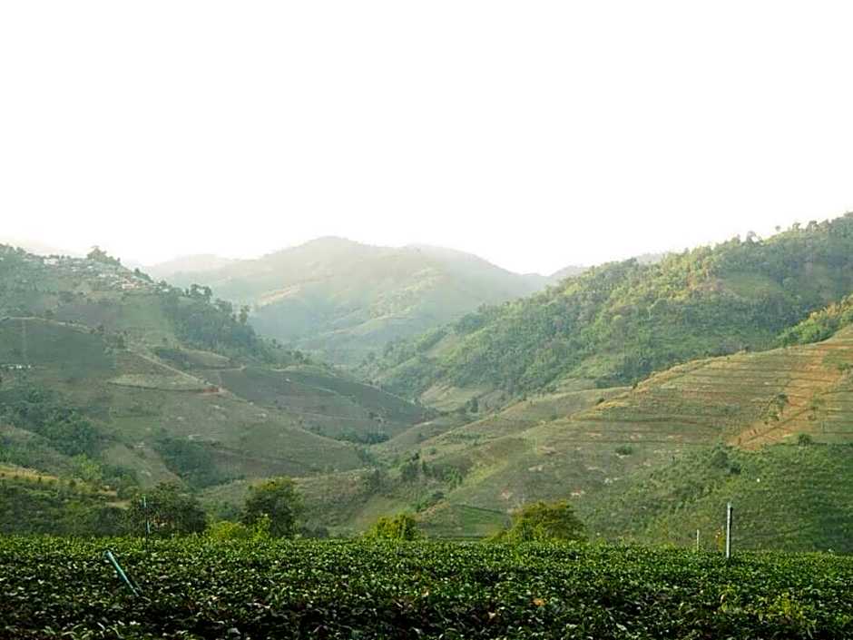 Wang Put Tan Boutique Hotel