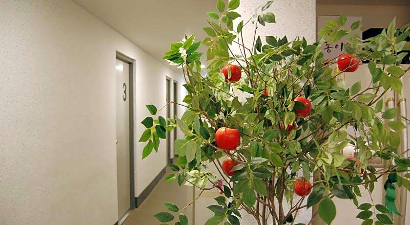 Dongseongro Zero Guesthouse