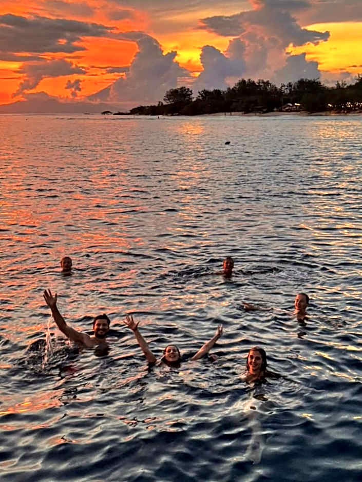 Tipsea Turtle Gili Trawangan