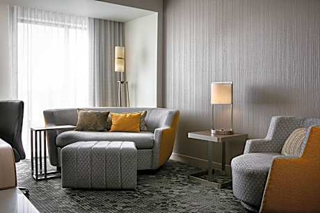 Executive, Larger Guest room, 1 King, Sofa bed, City view