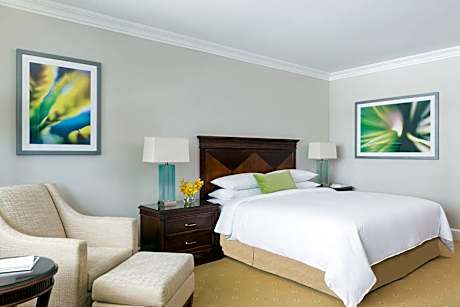 Room, 1 King Bed
