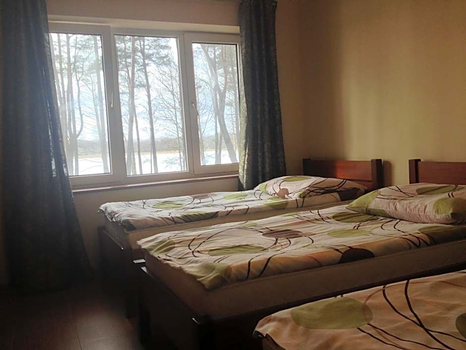 Jeleń