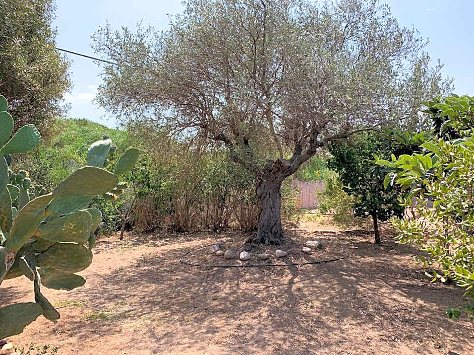 Hotel Club Ragno D'oro