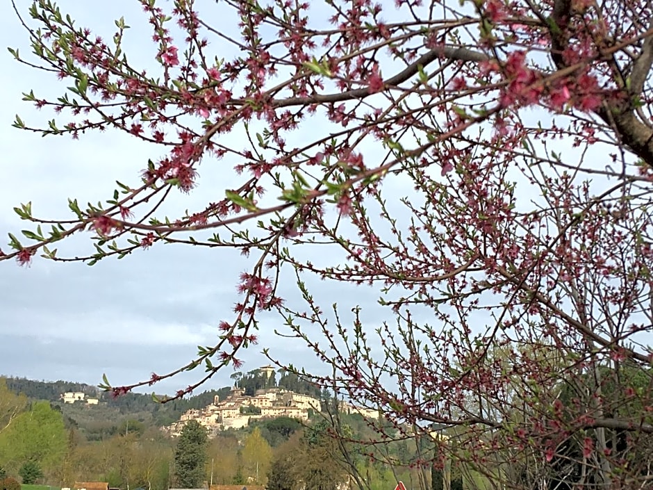B&B Locanda Toscanini