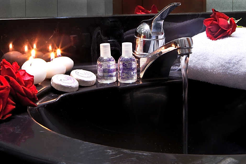 Hotel Diana Jardin et Spa