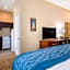 Comfort Inn & Suites Harrisburg - Hershey West