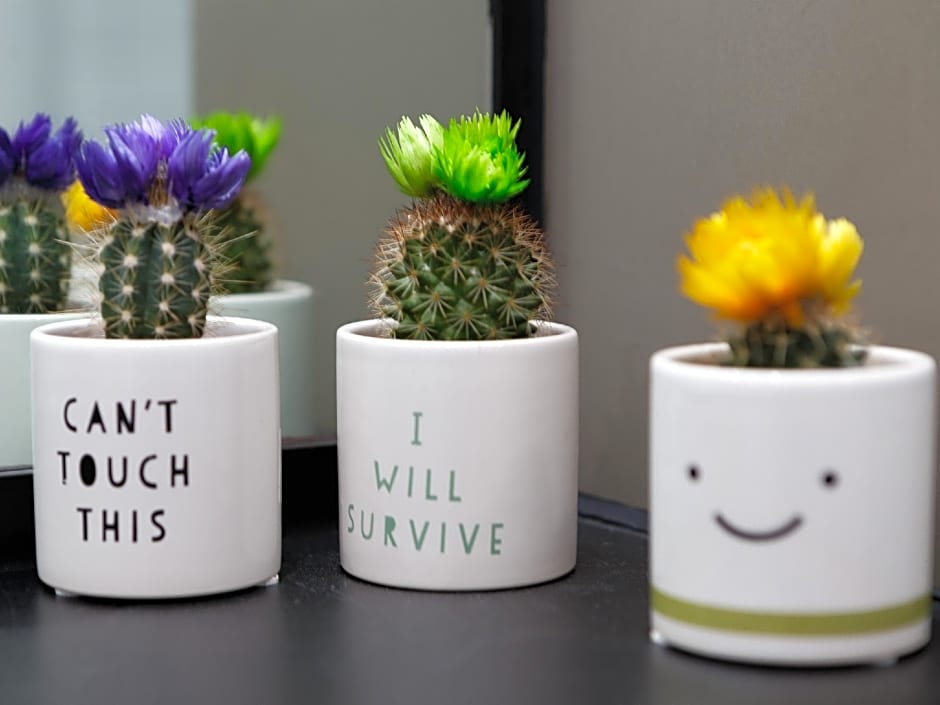 Live in Leeds Sky Penthouse