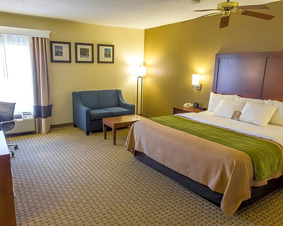 Comfort Inn Hammond