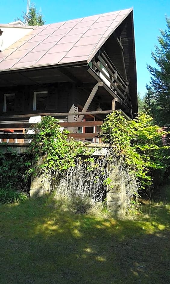 Dom letniskowy POŚRÓD KASZUBSKIEGO LASU