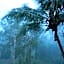Oskar's Rain Forest Retreat