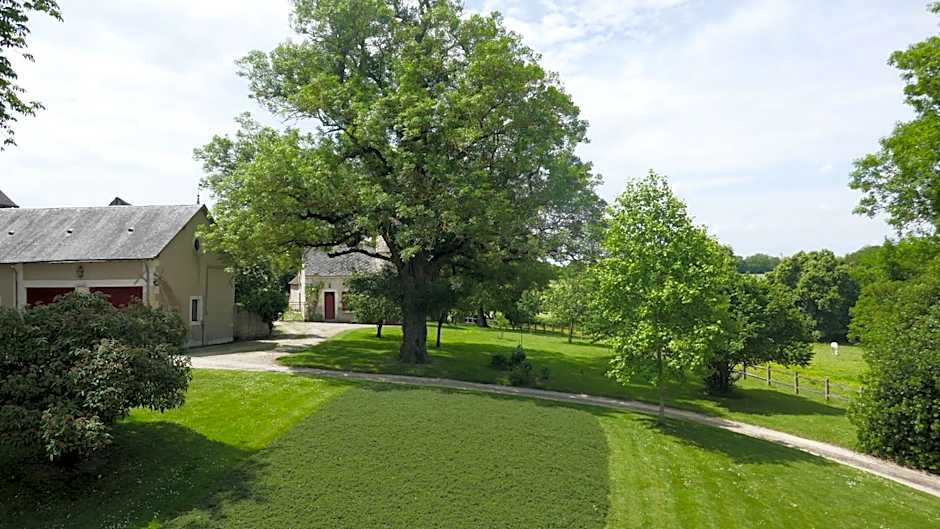 B&B Château de Preuil