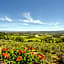 ISA-Holiday-Home with swimming-pool in San Gimignano, apartments with air conditioning and private outdoor area