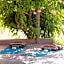 Ecolodge Quaryati Marrakech