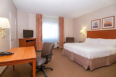 1 King Bed One Bedroom Suite