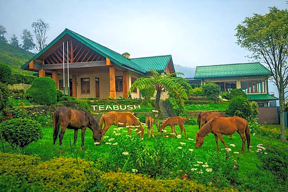 Tea Bush Hotel