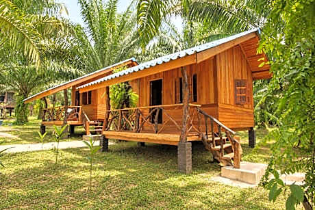 Khao Sok Palmview Resort