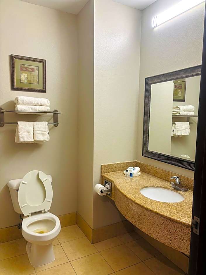 Rodeway Inn & Suites Winnfield