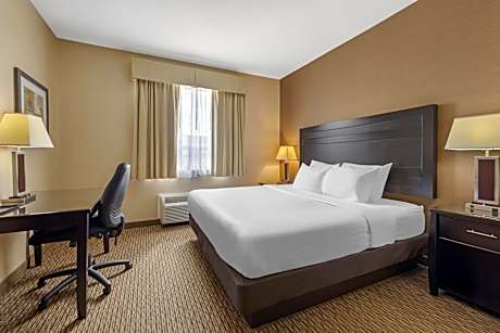 Suite-1 King Bed Non-Smoking Sofabed Full Kitchen Wi-Fi Full Breakfast